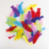 Plumes de couleur paquet de 50