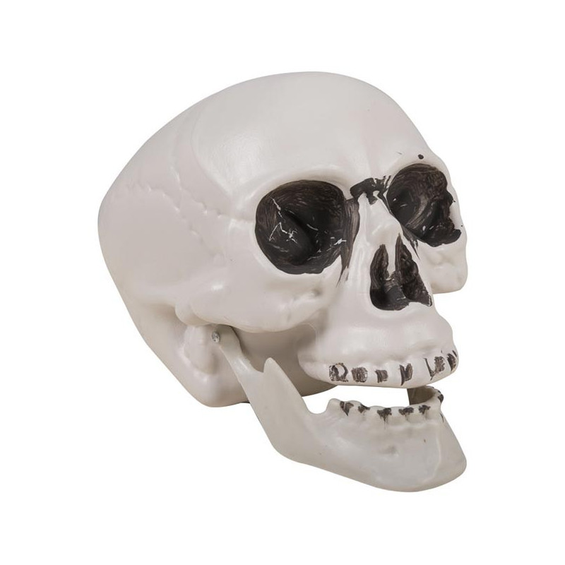 Faux crâne en plastique pour décoration d'Halloween