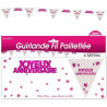 Guirlande anniversaire rose de 6 mètres Guirlande anniversaire rose de 6 mètres