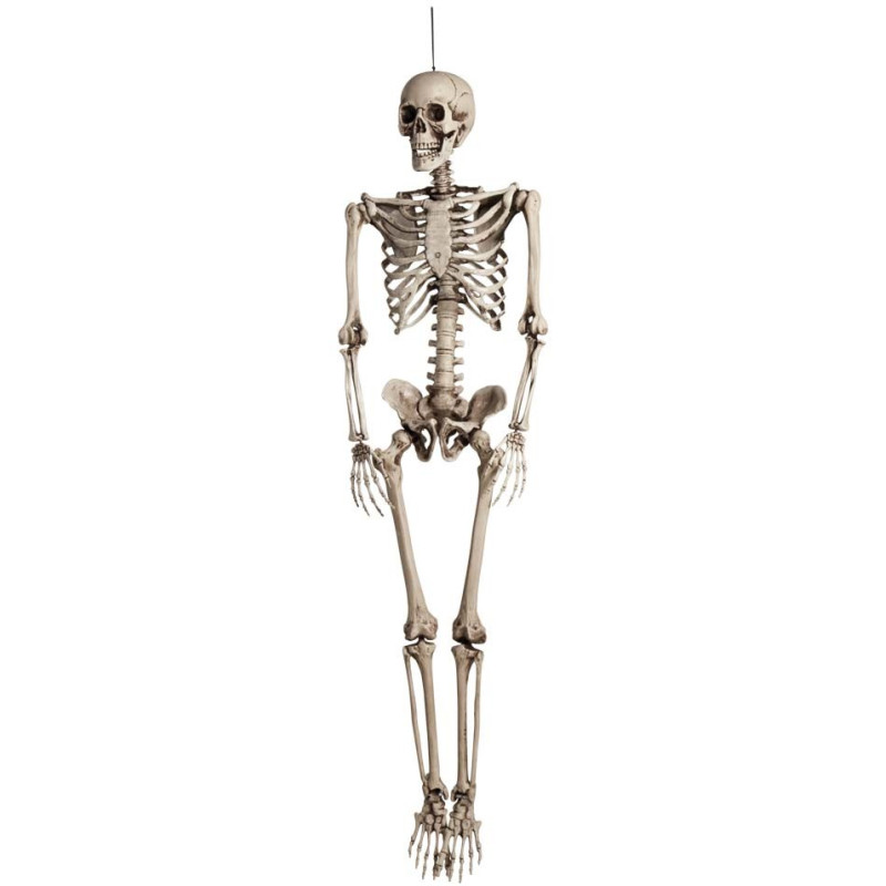 Squelette taille humaine 160 cm déco Halloween