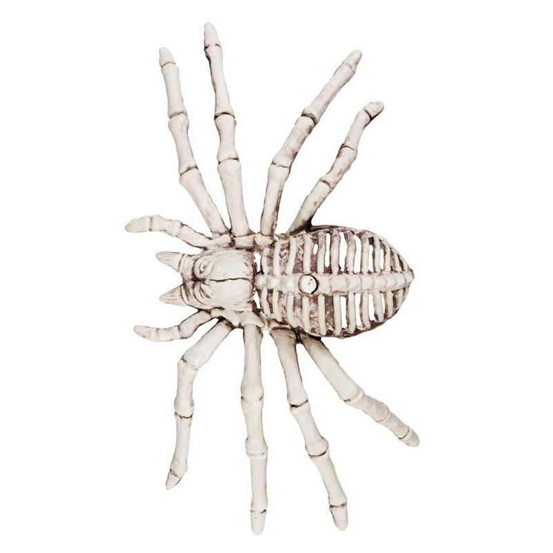 Araignée squelette pour déco Halloween