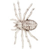 Araignée squelette pour déco Halloween