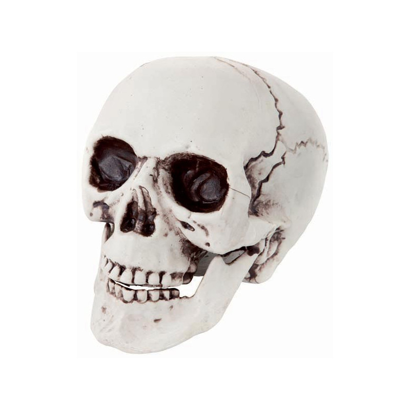 Crâne squelette réaliste pour décoration d'Halloween Crâne squelette réaliste pour décoration d'Halloween