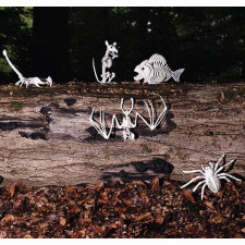 Squelettes d'animaux pour décoration Halloween