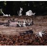 Squelettes d'animaux pour décoration Halloween