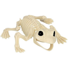 Squelette de grenouille Halloween