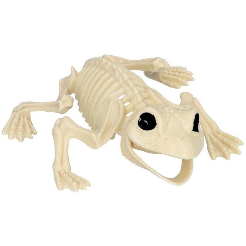 Squelette de grenouille Halloween