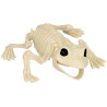 Squelette de grenouille Halloween