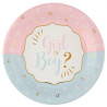 Assiettes en carton gender reveal
