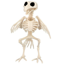 Oiseau squelette pour déco Halloween