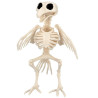 Oiseau squelette pour déco Halloween