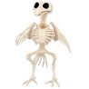 Squelette d'oiseau