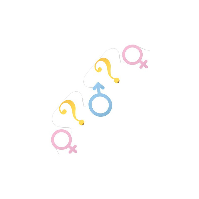 Guirlande Girl Or Boy Gender Reveal 5m Tralala F tes fr