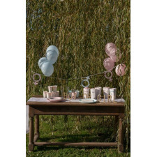 Guirlande gender reveal pour décoration Guirlande gender reveal pour décoration