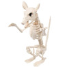 Squelette tête de rat