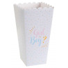 Grand cornet Gender Reveal en carton bleu, rose et or