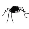 Petite araignée d'Halloween avec longues pattes Petite araignée d'Halloween avec longues pattes