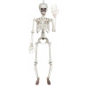 Décoration Halloween squelette