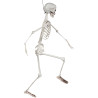 Squelette déco Halloween