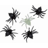 Araignées phosphorescentes et noires pour Halloween Araignées phosphorescentes et noires pour Halloween