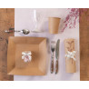 Assiettes en carton kraft