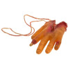 Main Halloween arrachée pour décoration Main Halloween arrachée pour décoration