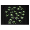 Araignées phosphorescentes pour décoration Halloween Araignées phosphorescentes pour décoration Halloween