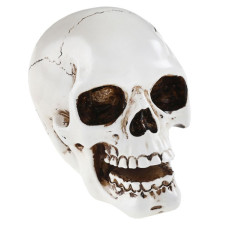 Crâne Halloween blanc à poser pour décorer