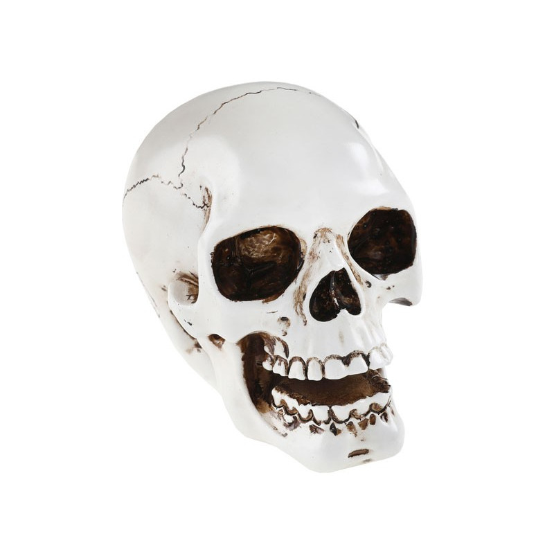 Crâne Halloween blanc à poser pour décorer