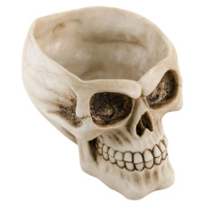 Crâne creux pour décoration Halloween