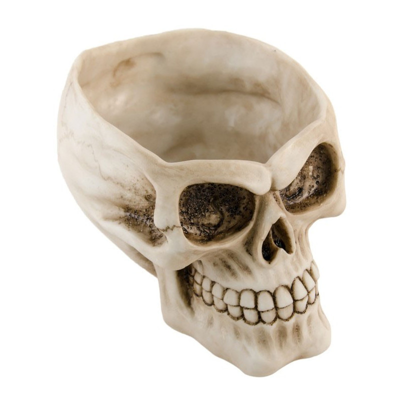 Crâne creux pour décoration Halloween