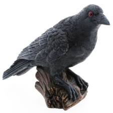 Corbeau Halloween