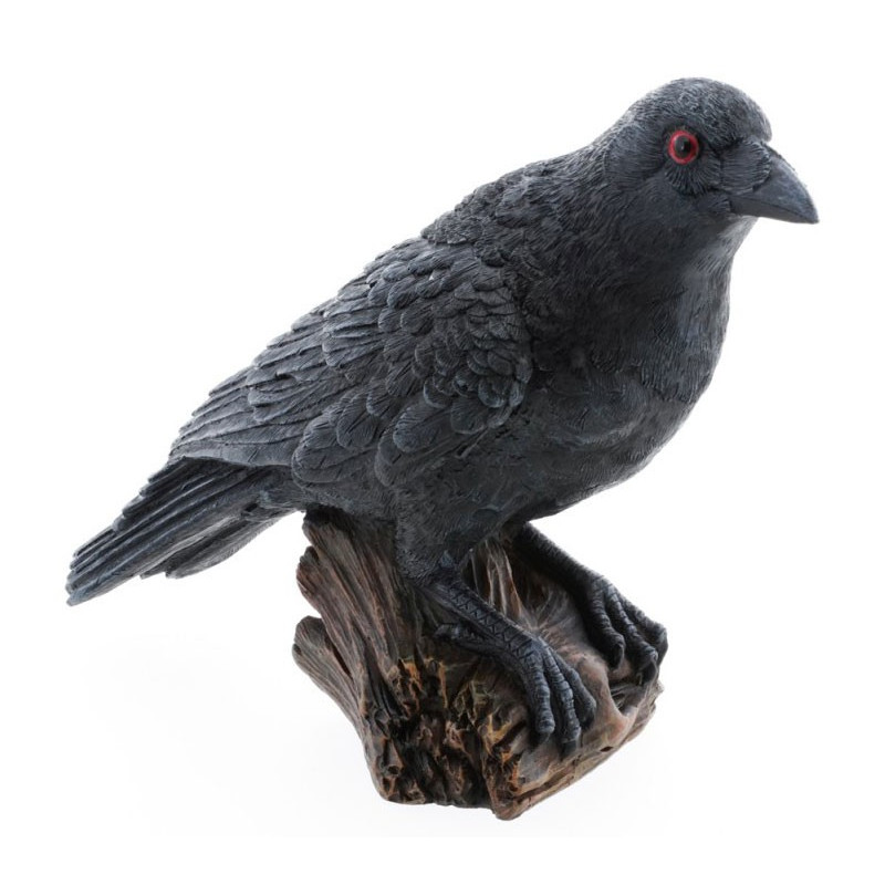 Corbeau Halloween