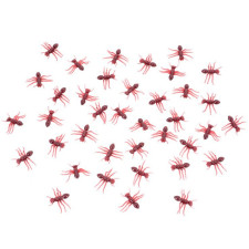 Grosses fourmis rouges