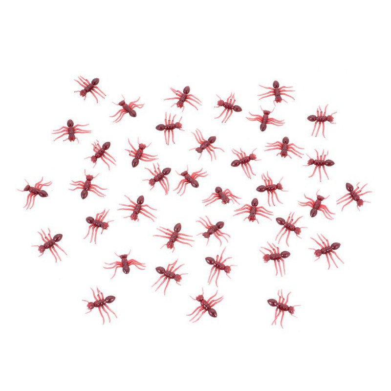 Grosses fourmis rouges