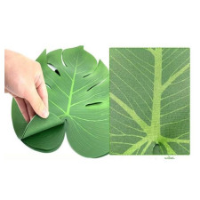 Feuille tropicale exotique