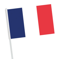 Petit drapeau bleu blanc rouge