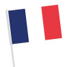 Petit drapeau bleu blanc rouge