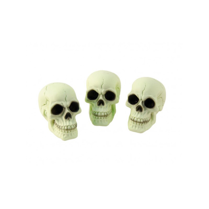 Crânes phosphorescents pour décoration Halloween