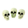 Crânes phosphorescents pour décoration Halloween