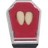 Dents de vampire Halloween