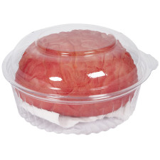 Décoration Halloween cerveau