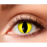 Lentille chat jaune