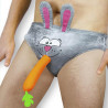 Slip lapin humoristique