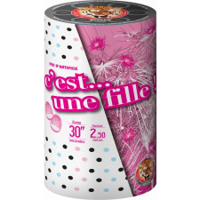 Feu d'artifice Gender Reveal rose fille