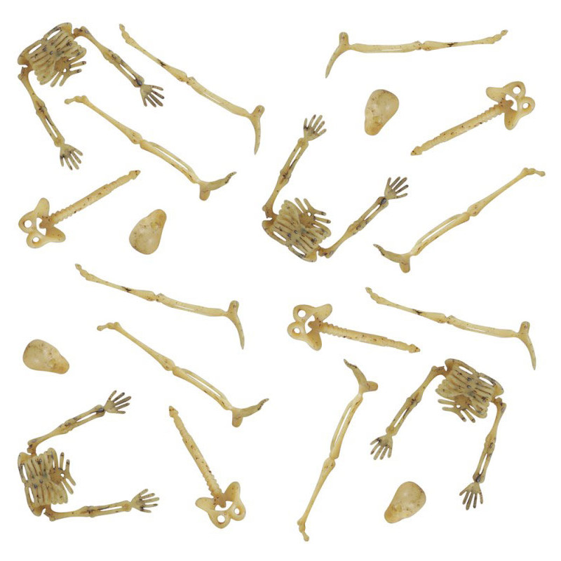 Petits os de squelette Halloween