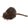 Rat Halloween poilu Rat Halloween poilu