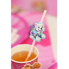 Paille anniversaire de la Pat'Patrouille avec Everest