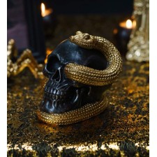 Décoration Halloween chic crâne avec serpent couleur or
