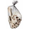 Kit d'os de squelette à disperser idéal pour une déco d'Halloween Kit d'os de squelette à disperser idéal pour une déco d'Halloween